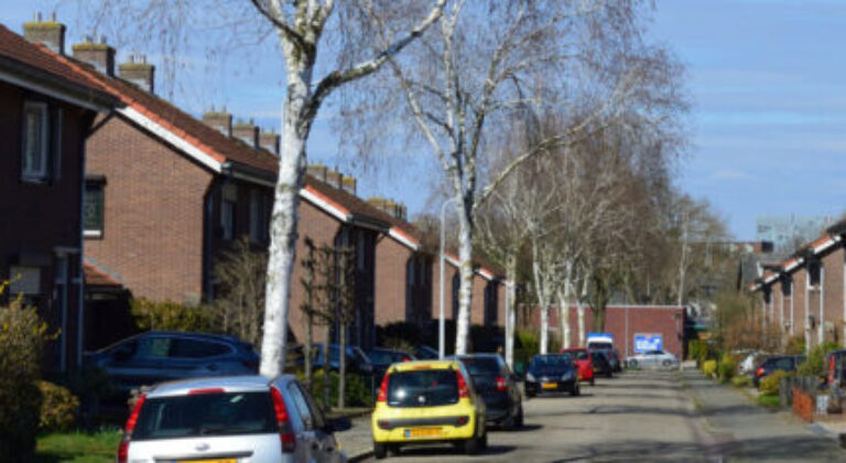 Stand van zaken warmtenet december 2025